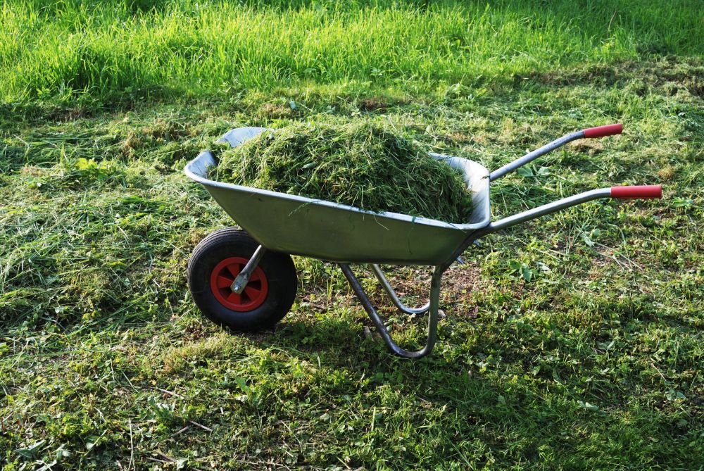 Grass Clippings Disposal