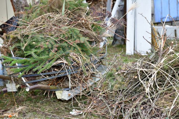 Yard Waste Removal Service in Salem