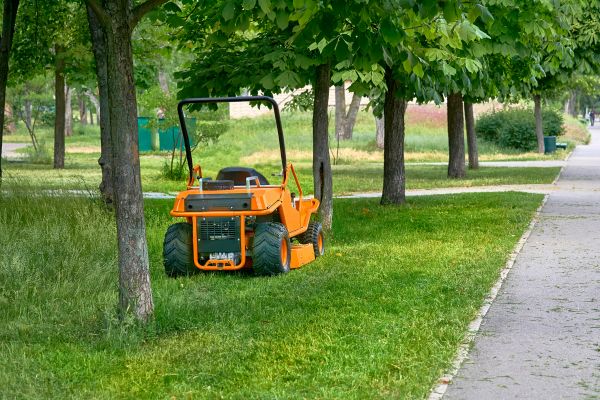 Landscaping Cleanup Service in Salem
