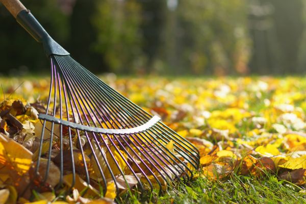 Seasonal Lawn Maintenance in Salem