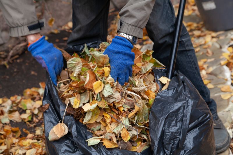 Seasonal Leaf Cleanup