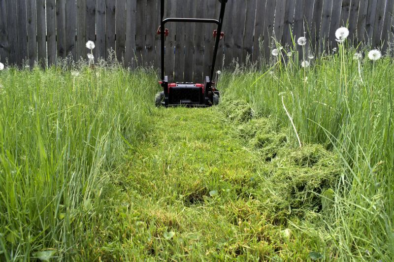 Lawn Equipment in Use