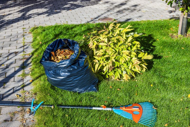 Seasonal Lawn Preparation